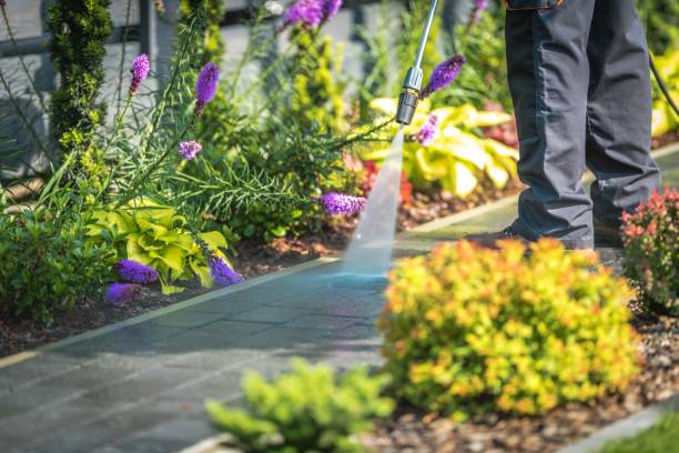 Best Winterizing Services  in Anacoco, LA